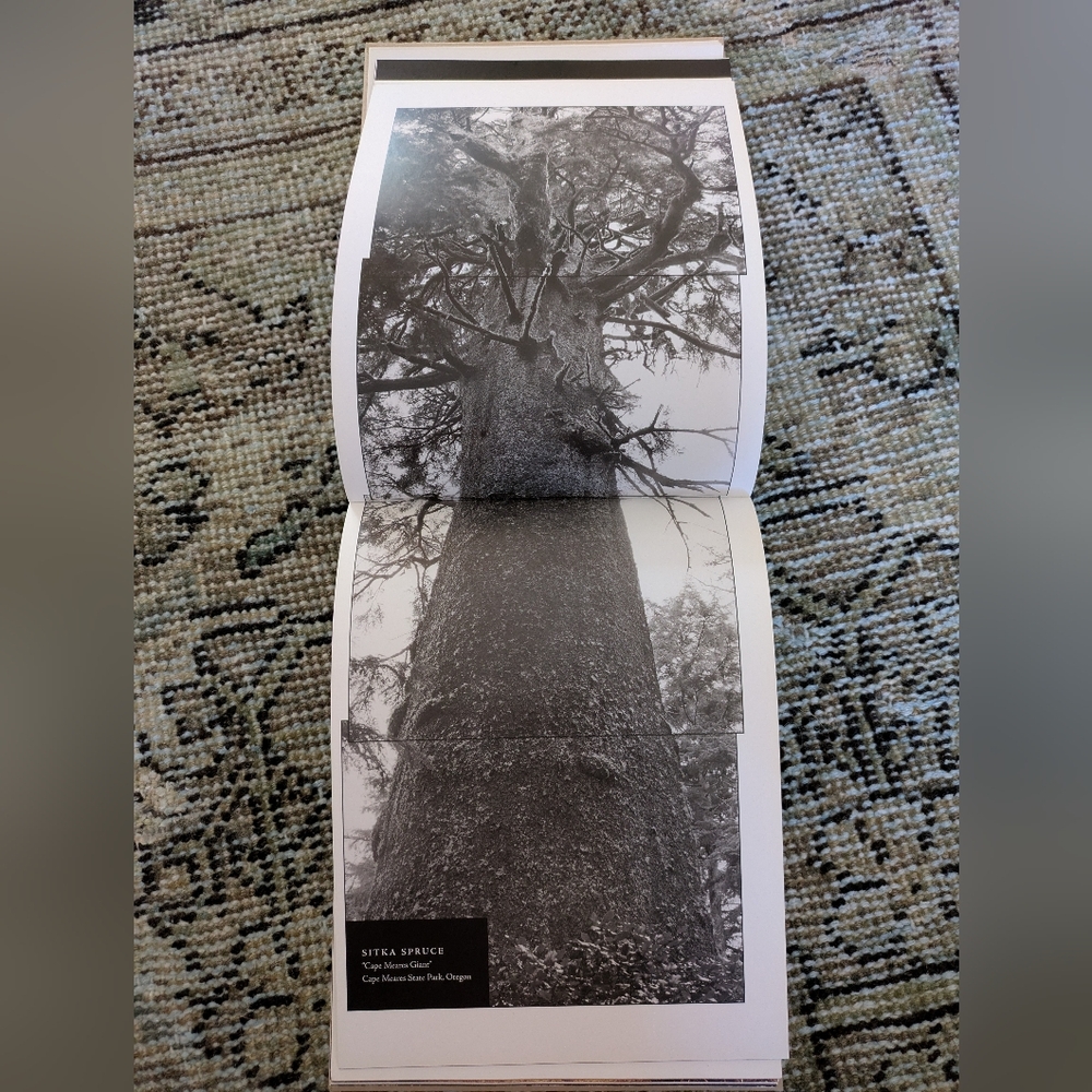 Tree: A New Vision Of The American Forest Book